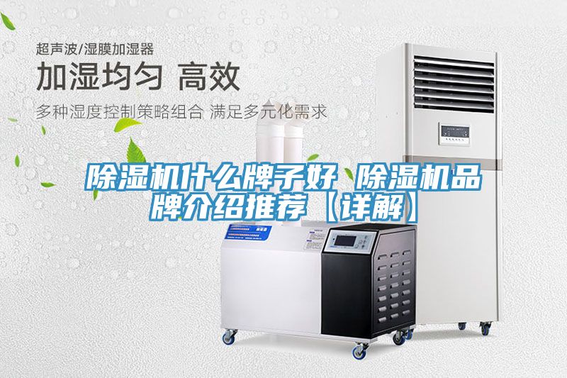 91免费网站在线观看什么牌子好 91免费网站在线观看品牌介绍推荐【详解】