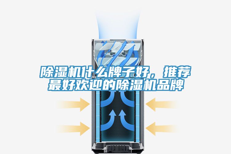 91免费网站在线观看什么牌子好，推荐最好欢迎的91免费网站在线观看品牌