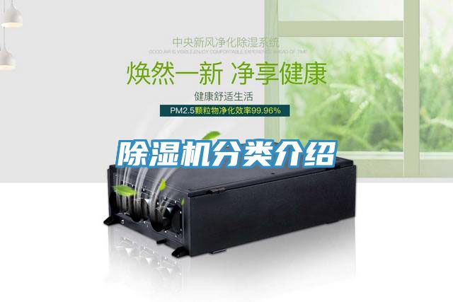 91免费网站在线观看分类介绍