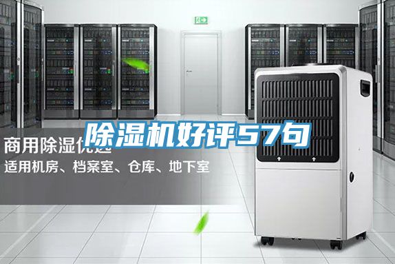 91免费网站在线观看好评57句