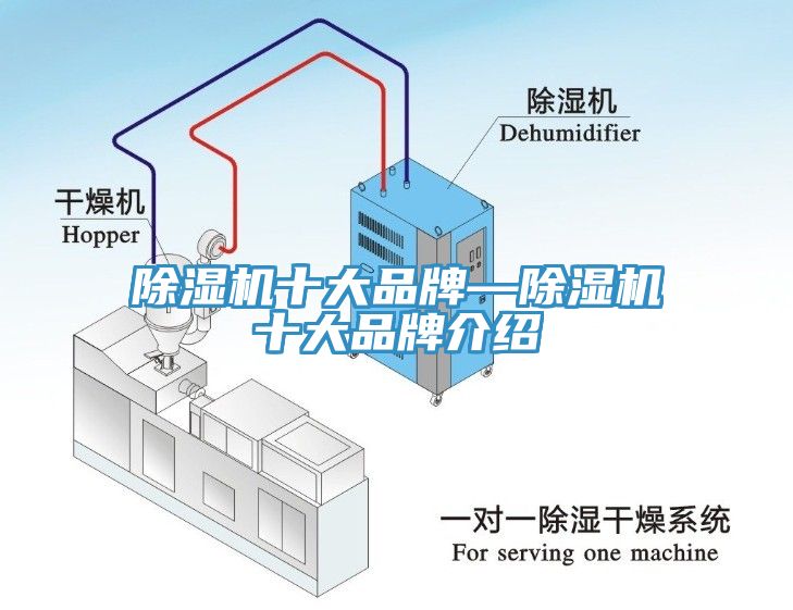 91免费网站在线观看十大品牌—91免费网站在线观看十大品牌介绍