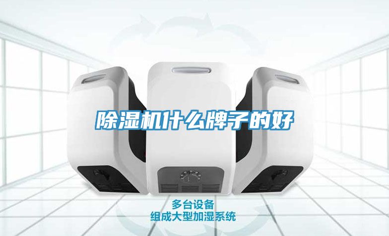 91免费网站在线观看什么牌子的好