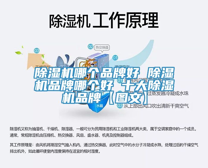 91免费网站在线观看哪个品牌好 91免费网站在线观看品牌哪个好 十大91免费网站在线观看品牌【图文】