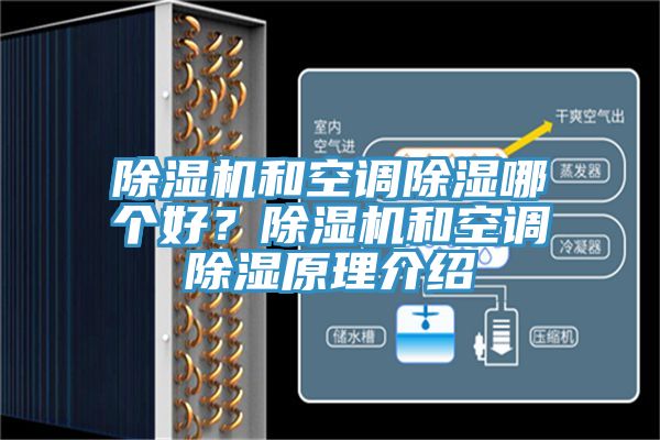91免费网站在线观看和空调除湿哪个好？91免费网站在线观看和空调除湿原理介绍