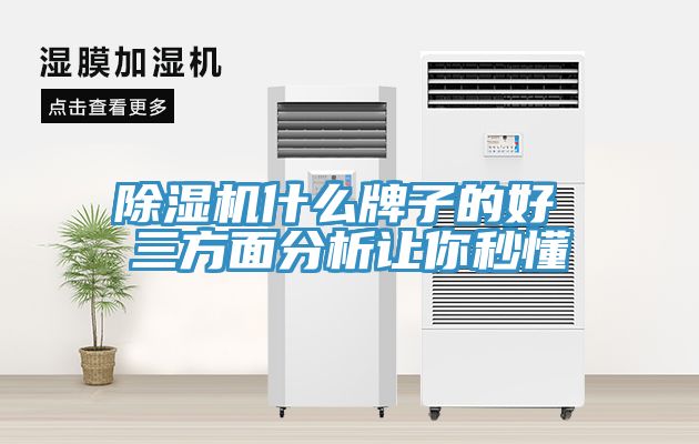 91免费网站在线观看什么牌子的好 三方面分析让你秒懂