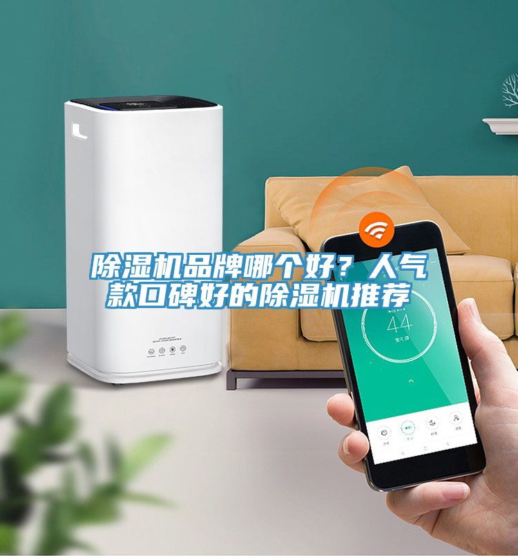 91免费网站在线观看品牌哪个好？人气款口碑好的91免费网站在线观看推荐