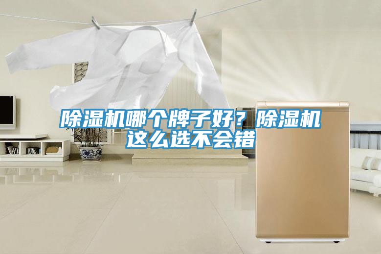91免费网站在线观看哪个牌子好？91免费网站在线观看这么选不会错