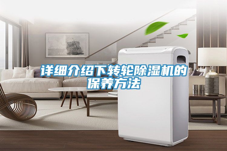 详细介绍下转轮91免费网站在线观看的保养方法
