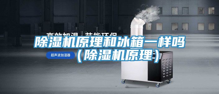 91免费网站在线观看原理和冰箱一样吗（91免费网站在线观看原理）