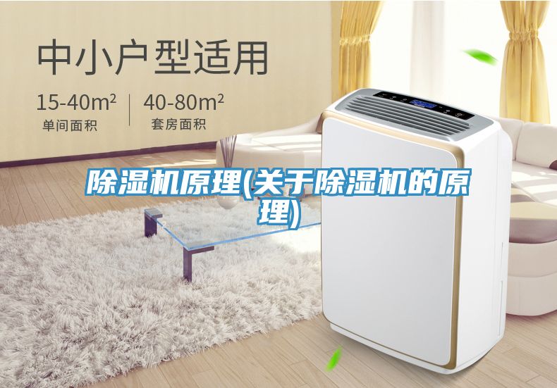 91免费网站在线观看原理(关于91免费网站在线观看的原理)
