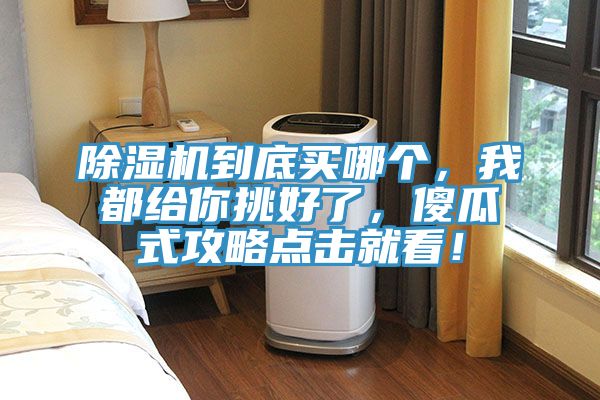 91免费网站在线观看到底买哪个，我都给你挑好了，傻瓜式攻略点击就看！