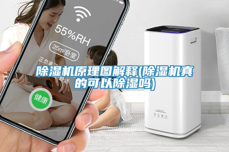 91免费网站在线观看原理图解释(91免费网站在线观看真的可以除湿吗)
