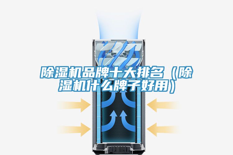 91免费网站在线观看品牌十大排名（91免费网站在线观看什么牌子好用）
