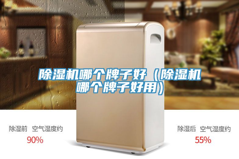 91免费网站在线观看哪个牌子好（91免费网站在线观看哪个牌子好用）