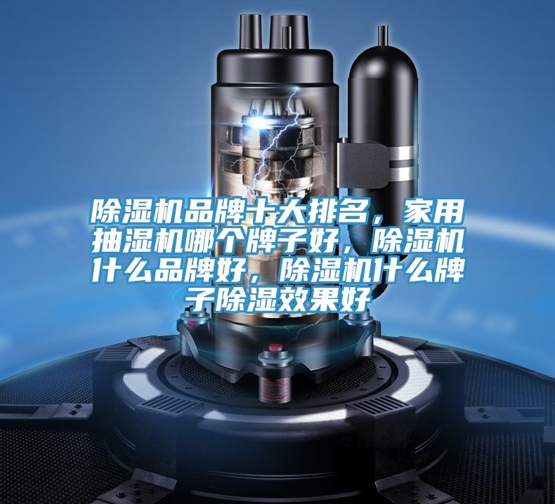 91免费网站在线观看品牌十大排名，家用抽湿机哪个牌子好，91免费网站在线观看什么品牌好，91免费网站在线观看什么牌子除湿效果好