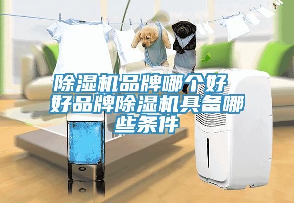 91免费网站在线观看品牌哪个好 好品牌91免费网站在线观看具备哪些条件