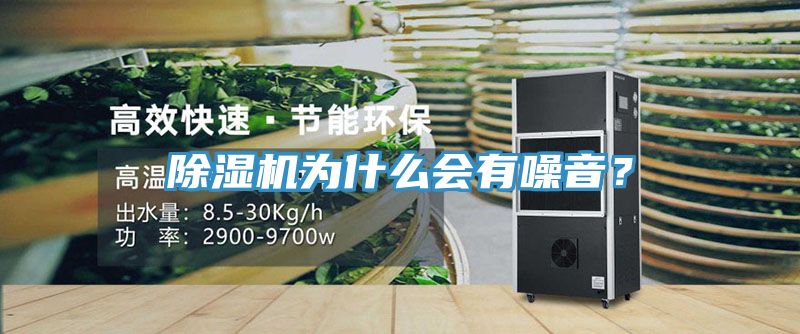 91免费网站在线观看为什么会有噪音？