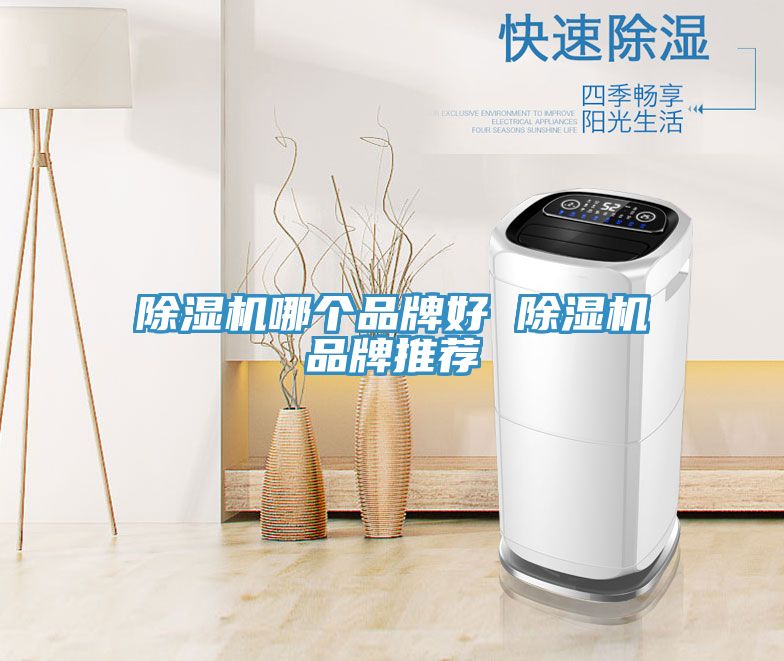 91免费网站在线观看哪个品牌好 91免费网站在线观看品牌推荐