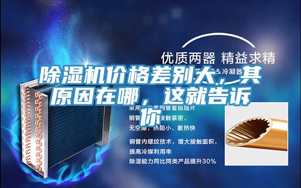 91免费网站在线观看价格差别大，其原因在哪，这就告诉你