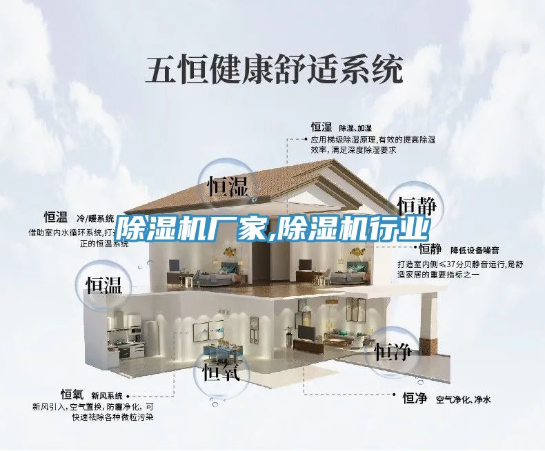91免费网站在线观看厂家,91免费网站在线观看行业