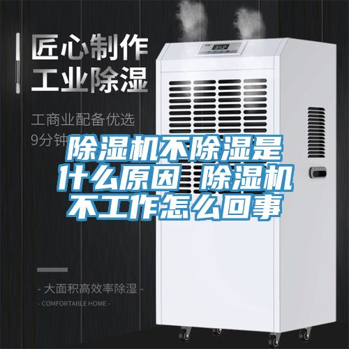 91免费网站在线观看不除湿是什么原因 91免费网站在线观看不工作怎么回事
