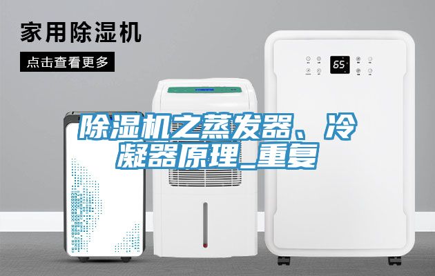 91免费网站在线观看之蒸发器、冷凝器原理_重复