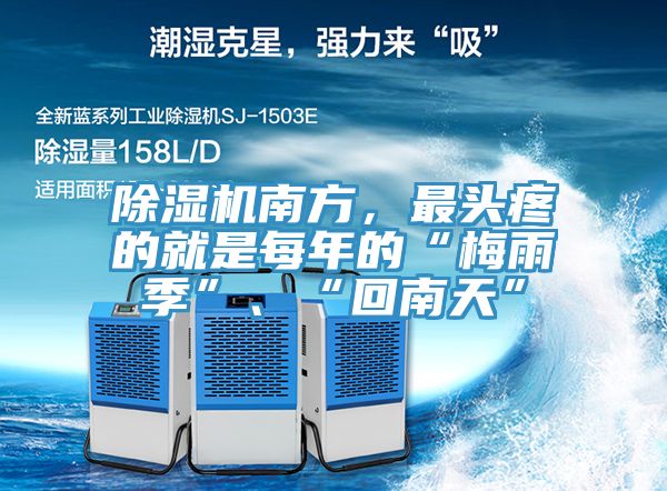 91免费网站在线观看南方，最头疼的就是每年的“梅雨季”、“回南天”