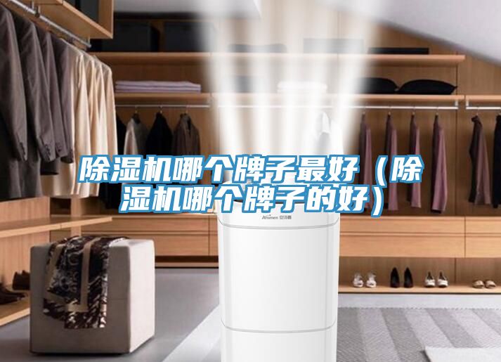 91免费网站在线观看哪个牌子最好（91免费网站在线观看哪个牌子的好）