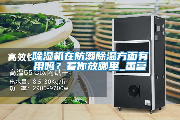 91免费网站在线观看在防潮除湿方面有用吗？看你放哪里_重复