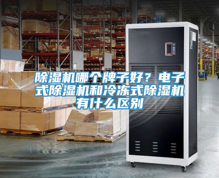 91免费网站在线观看哪个牌子好？电子式91免费网站在线观看和冷冻式91免费网站在线观看有什么区别