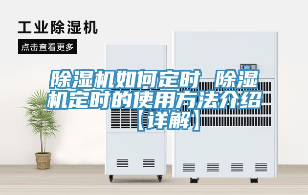 91免费网站在线观看如何定时 91免费网站在线观看定时的使用方法介绍【详解】