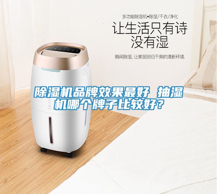 91免费网站在线观看品牌效果最好 抽湿机哪个牌子比较好？
