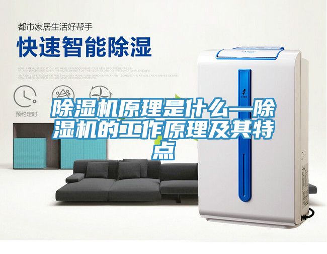 91免费网站在线观看原理是什么—91免费网站在线观看的工作原理及其特点