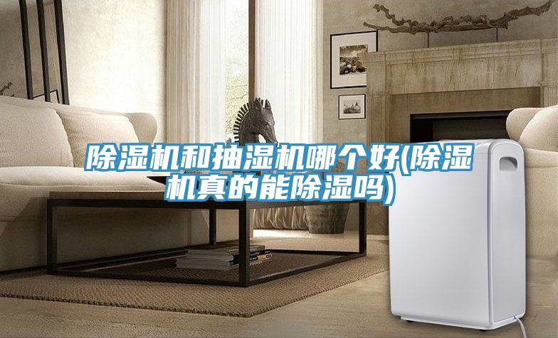 91免费网站在线观看和抽湿机哪个好(91免费网站在线观看真的能除湿吗)
