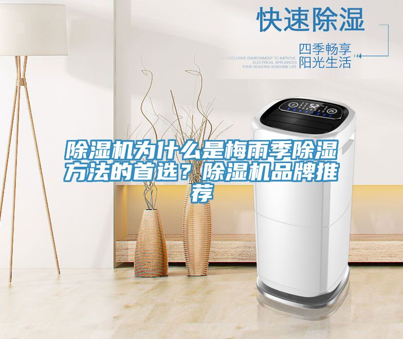 91免费网站在线观看为什么是梅雨季除湿方法的首选？91免费网站在线观看品牌推荐