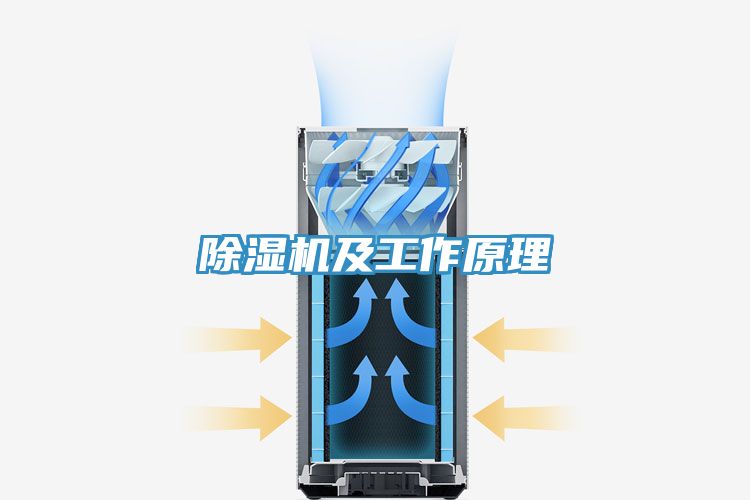 91免费网站在线观看及工作原理