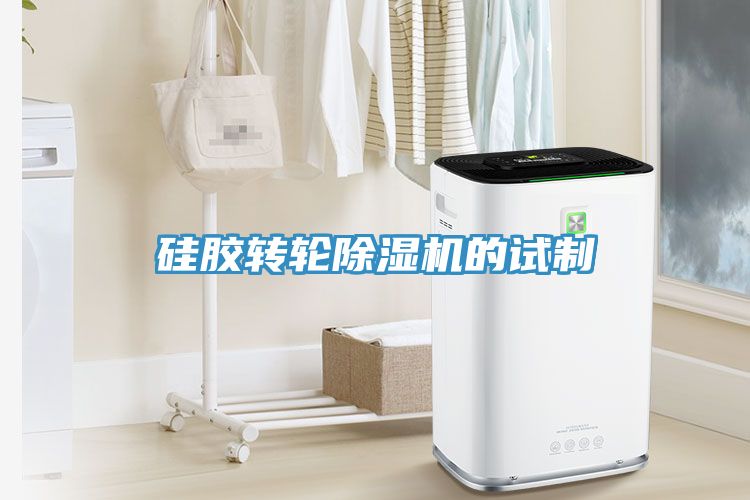 硅胶转轮91免费网站在线观看的试制