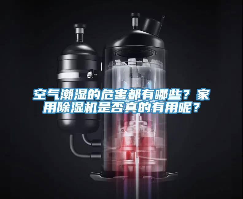 空气潮湿的危害都有哪些？家用91免费网站在线观看是否真的有用呢？