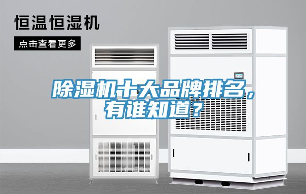 91免费网站在线观看十大品牌排名，有谁知道？