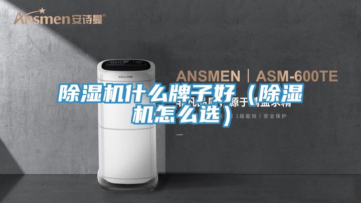 91免费网站在线观看什么牌子好（91免费网站在线观看怎么选）