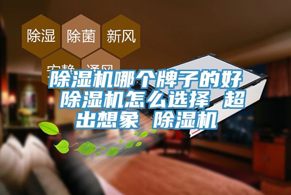 91免费网站在线观看哪个牌子的好 91免费网站在线观看怎么选择 超出想象 91免费网站在线观看