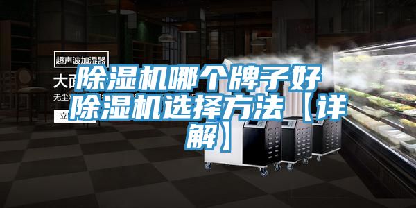 91免费网站在线观看哪个牌子好 91免费网站在线观看选择方法【详解】