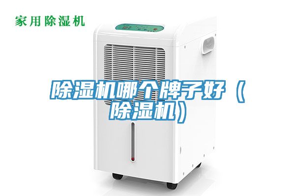 91免费网站在线观看哪个牌子好（91免费网站在线观看）