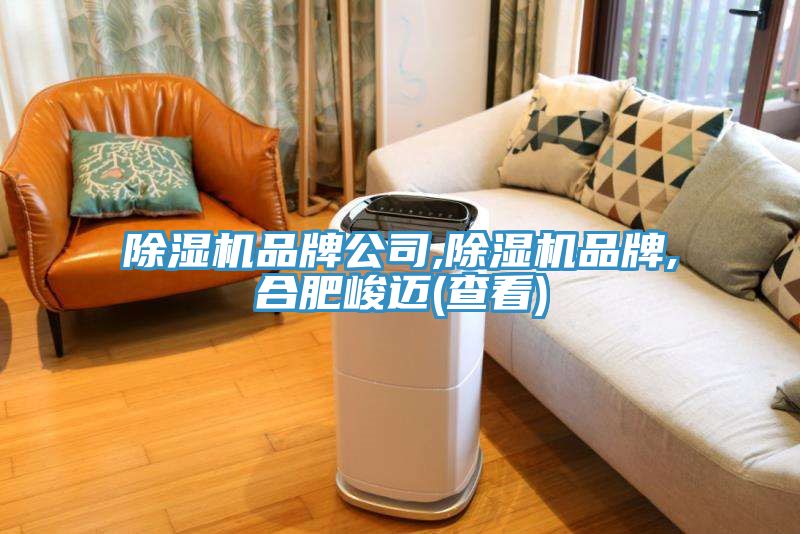 91免费网站在线观看品牌公司,91免费网站在线观看品牌,合肥峻迈(查看)