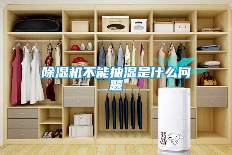 91免费网站在线观看不能抽湿是什么问题