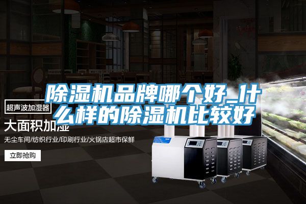 91免费网站在线观看品牌哪个好_什么样的91免费网站在线观看比较好