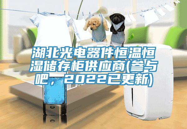 湖北光电器件恒温恒湿储存柜供应商(参与吧，2022已更新)
