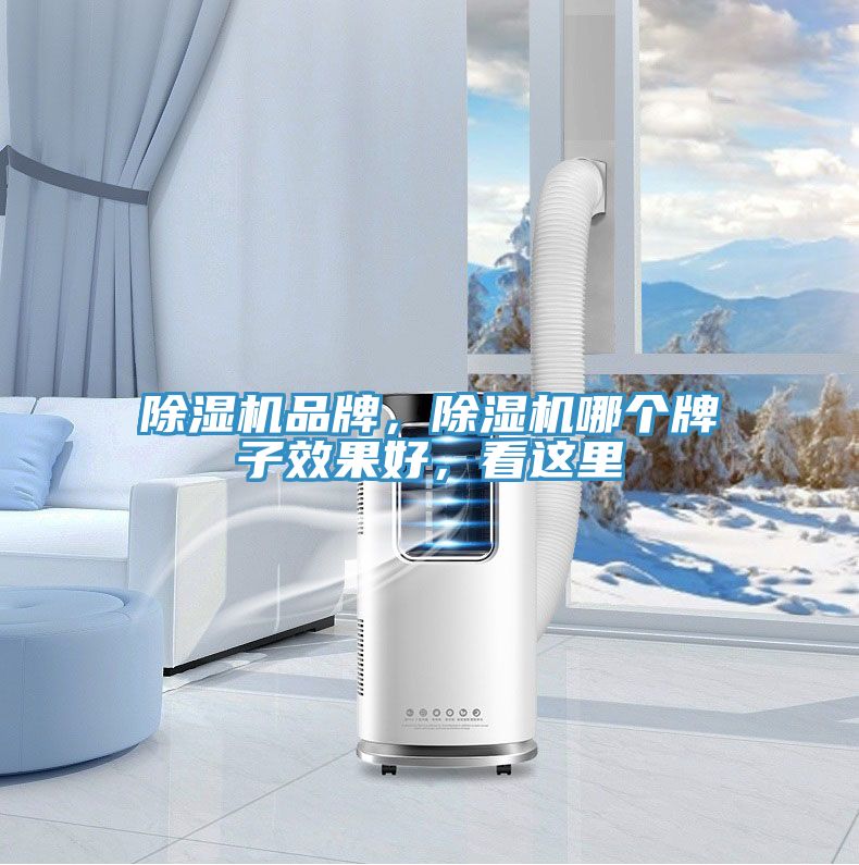 91免费网站在线观看品牌，91免费网站在线观看哪个牌子效果好，看这里