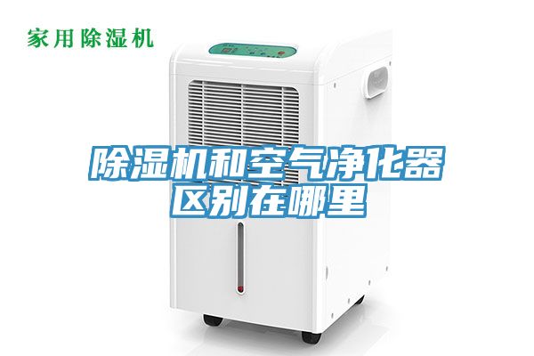 91免费网站在线观看和空气净化器区别在哪里