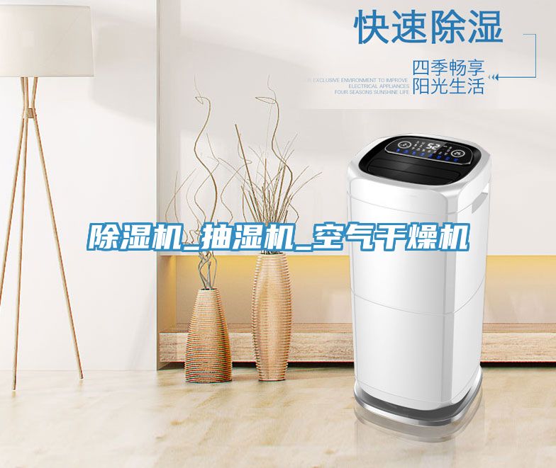 91免费网站在线观看_抽湿机_空气干燥机